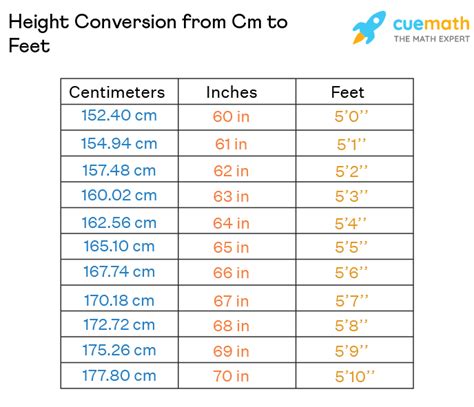 161 cm to feet|161 cm in feet and inches